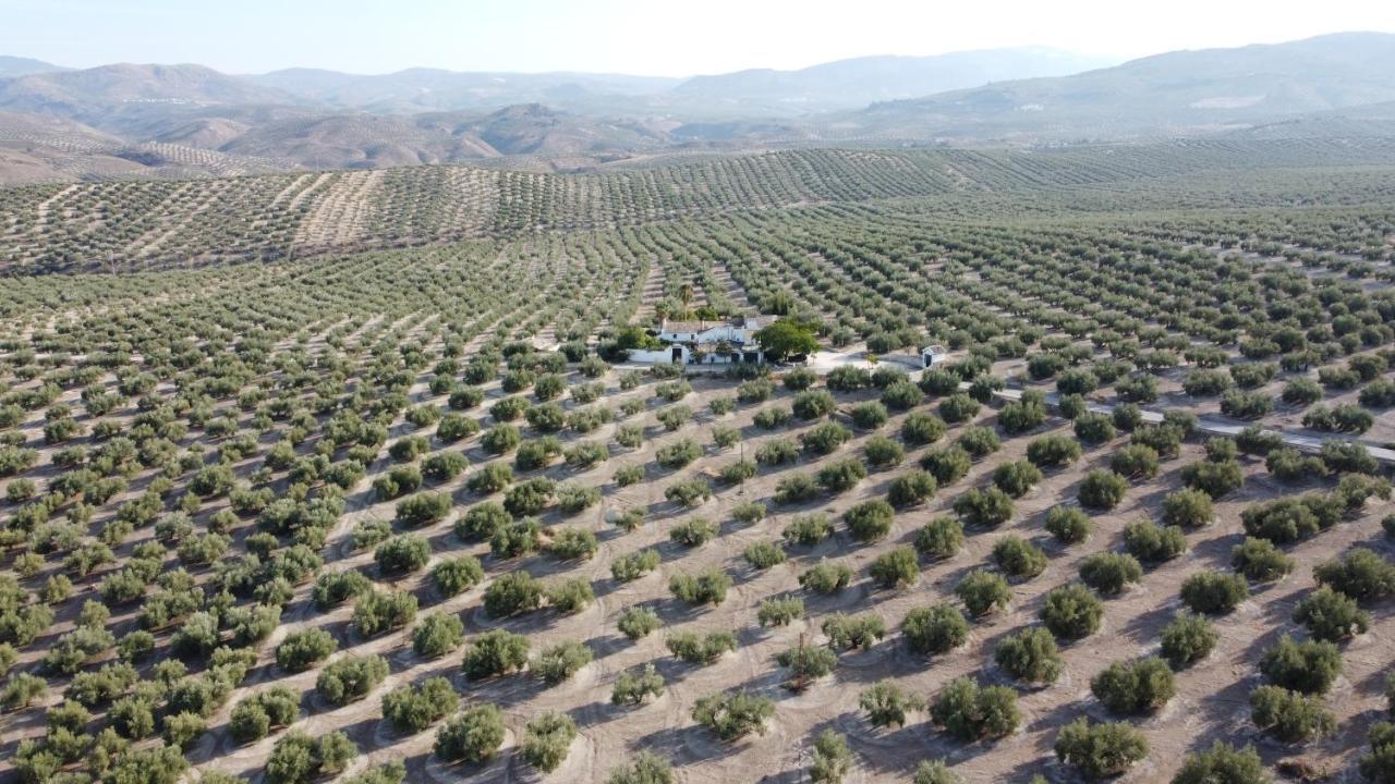 Casa De Familia Cortijo La Cubertilla Fuente-Tojar 외부 사진